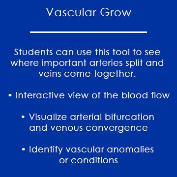 Anatomage Vascular Grow